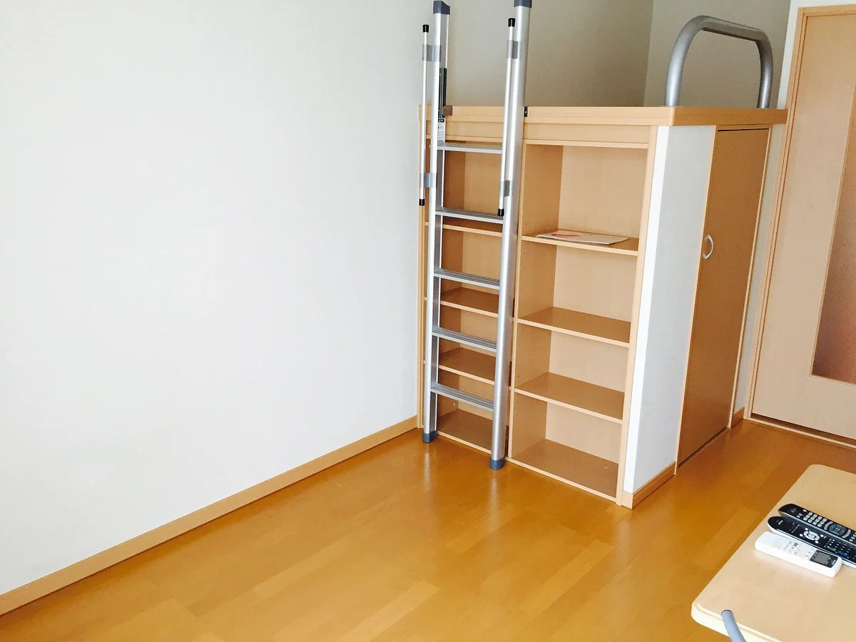 本棚、ベッド下収納あり