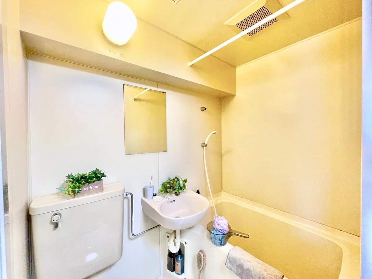 ※撮影用の観葉植物・食器調理器具・雑貨類等はございません。※図面・写真は現況優先。