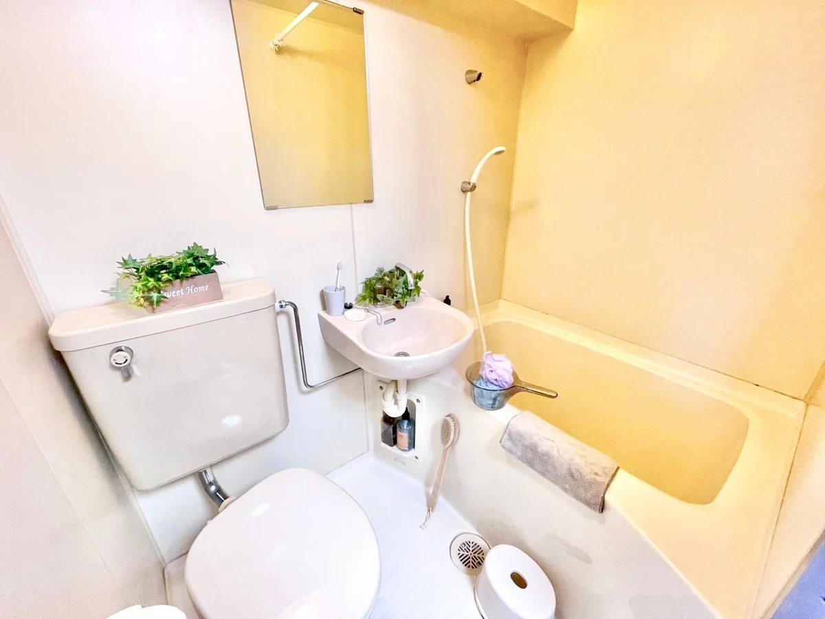 ※撮影用の観葉植物・食器調理器具・雑貨類等はございません。※図面・写真は現況優先。