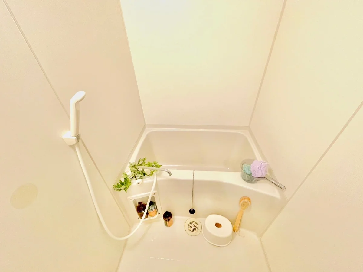 ※撮影用の観葉植物・食器調理器具・雑貨類等はございません。※図面・写真は現況優先。