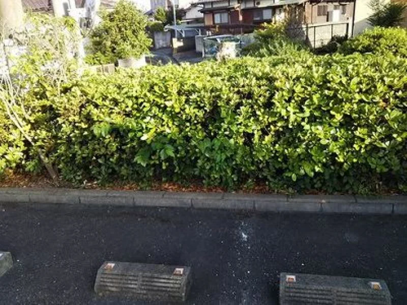 設備・仕様は号室により異なる為、現況を優先致します。