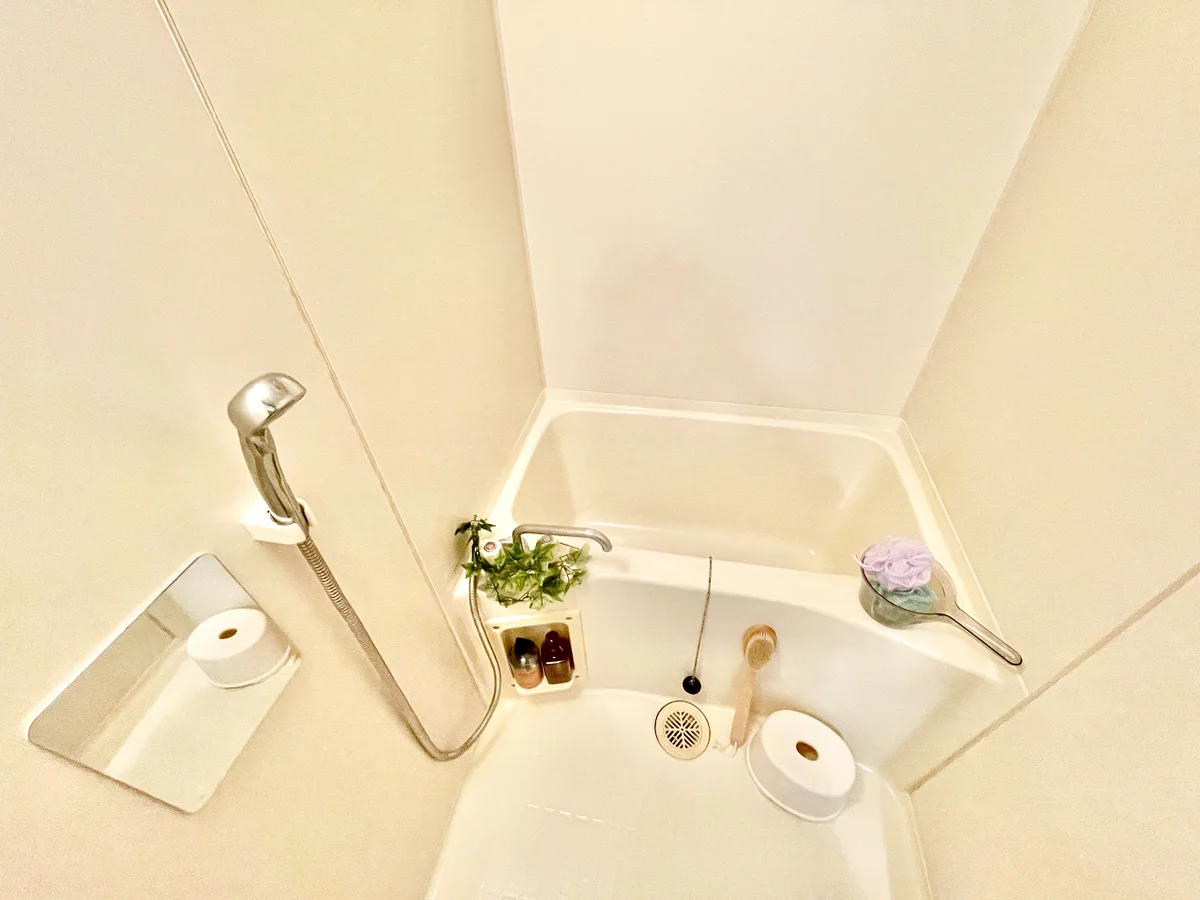 ※撮影用の観葉植物・食器調理器具・雑貨類等はございません。※図面・写真は現況優先。