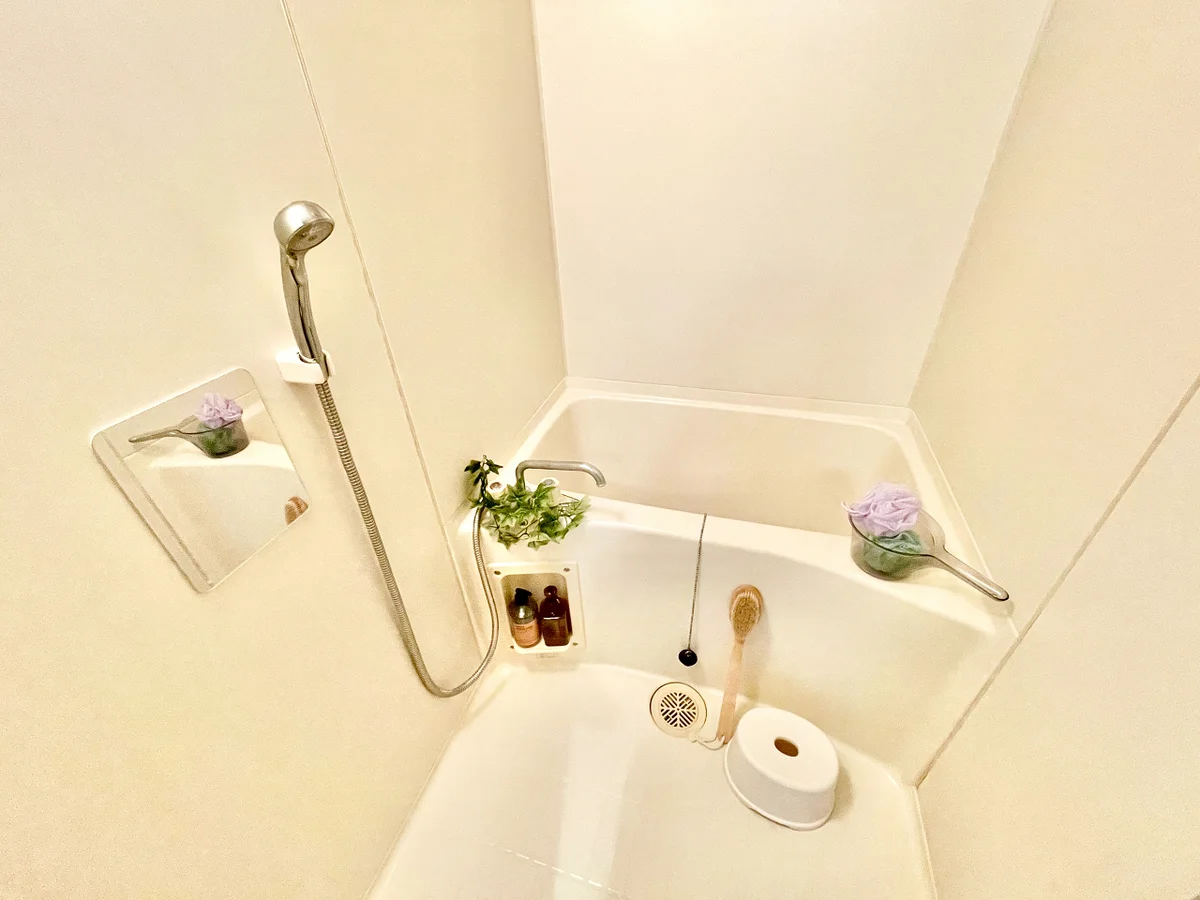 ※撮影用の観葉植物・食器調理器具・雑貨類等はございません。※図面・写真は現況優先。