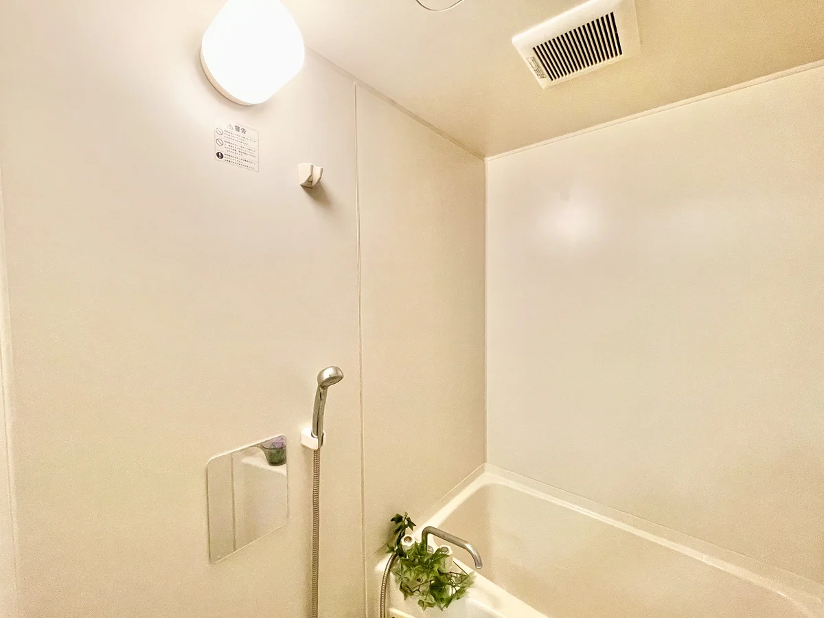 ※撮影用の観葉植物・食器調理器具・雑貨類等はございません。※図面・写真は現況優先。