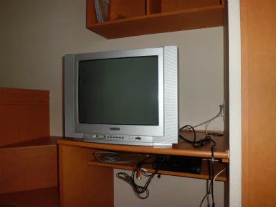 テレビとレオネット。月々1600円でネット使い放題。