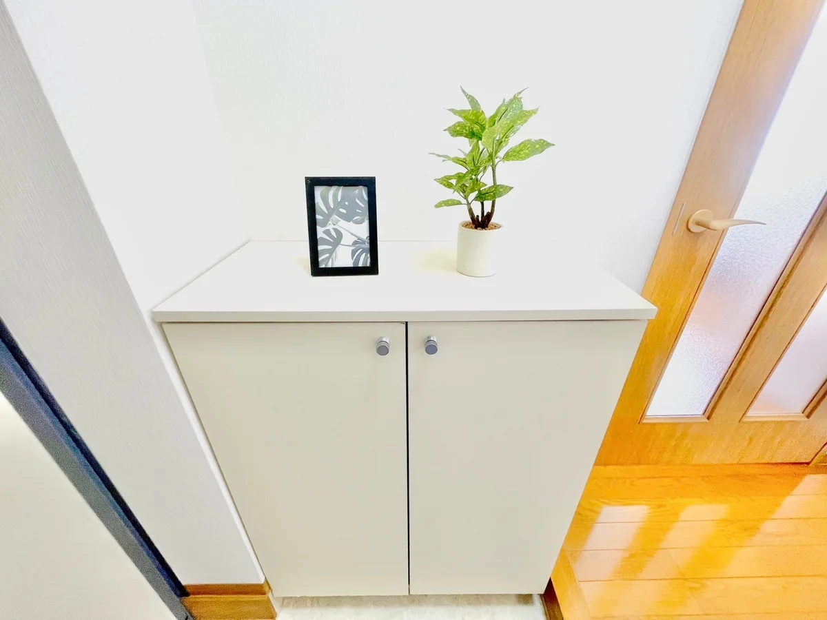 ※撮影用の観葉植物・食器調理器具・雑貨類等はございません。※図面・写真は現況優先。