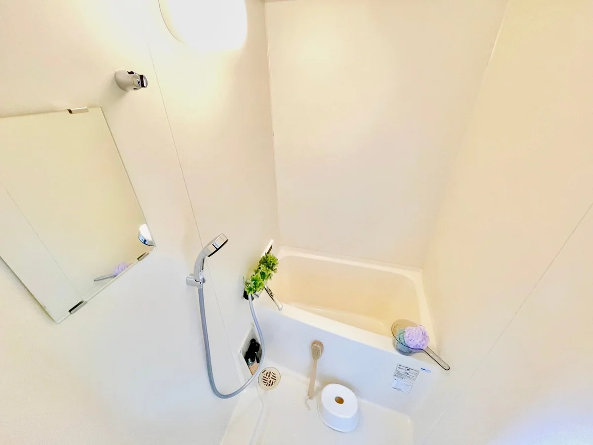 ※撮影用の観葉植物・食器調理器具・雑貨類等はございません。※図面・写真は現況優先。