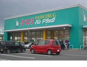 ハシドラッグ南福島店まで1200m