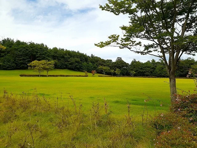 県立小泉潟公園まで1272m