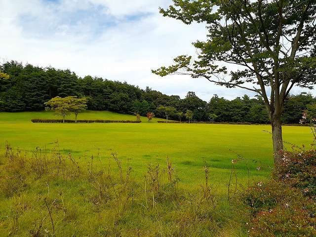 県立小泉潟公園まで1272m