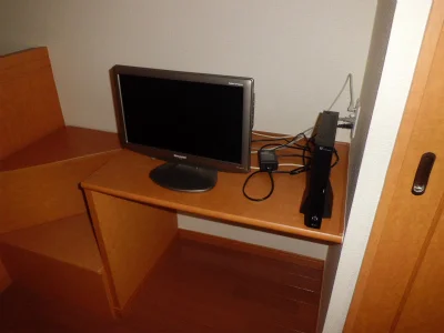 薄型テレビとレオネット。