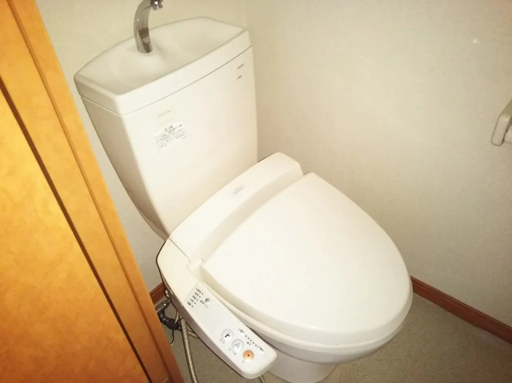 同タイプの写真です