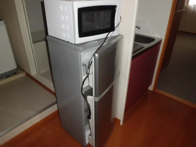 流し台脇に鎮座する冷蔵庫と電子レンジ。