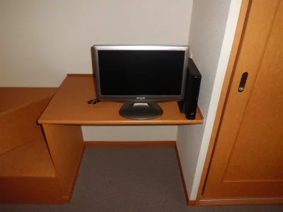 テレビとレオネット。