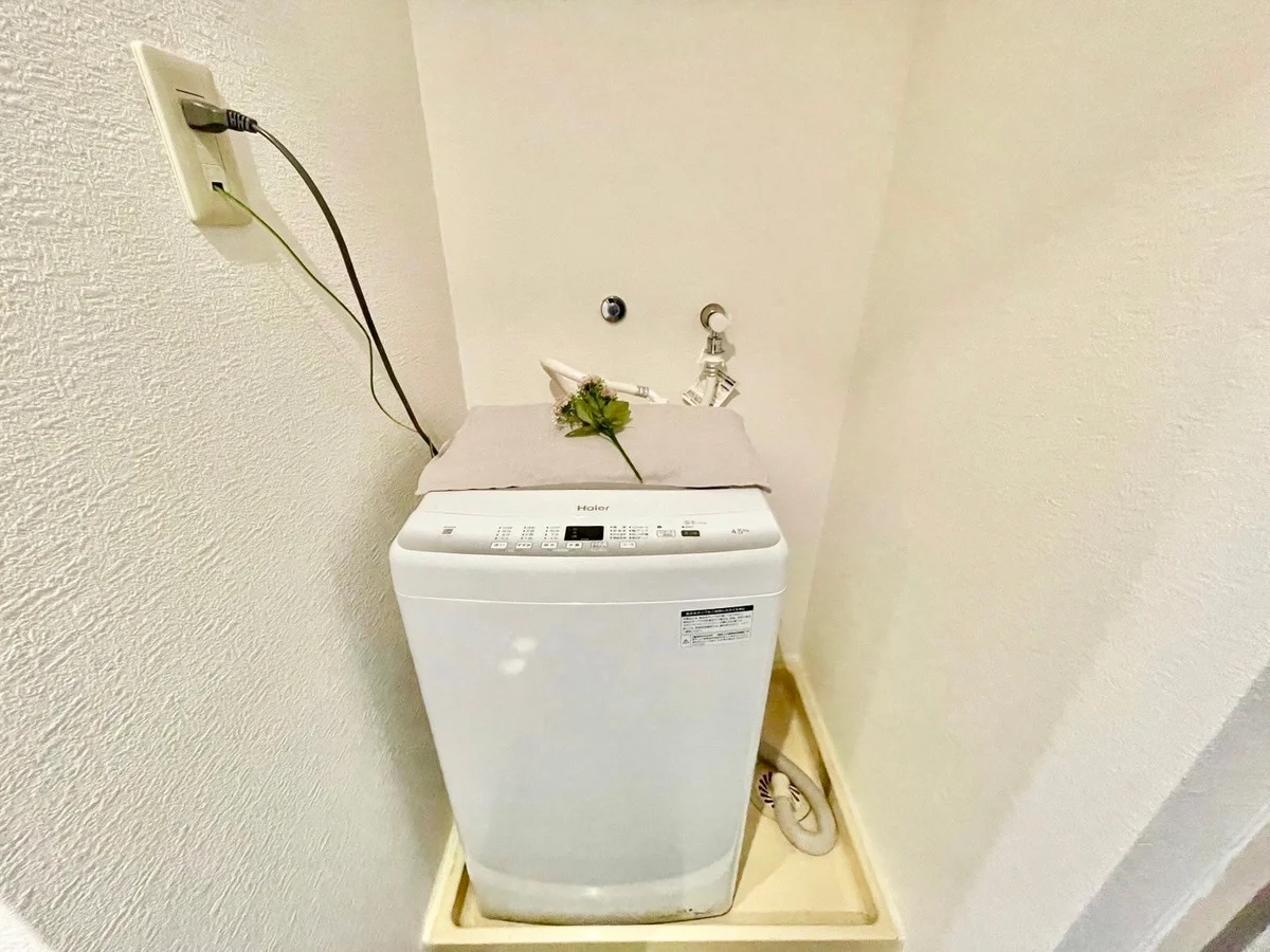 ※撮影用の観葉植物・食器調理器具・雑貨類等はございません。※図面・写真は現況優先。