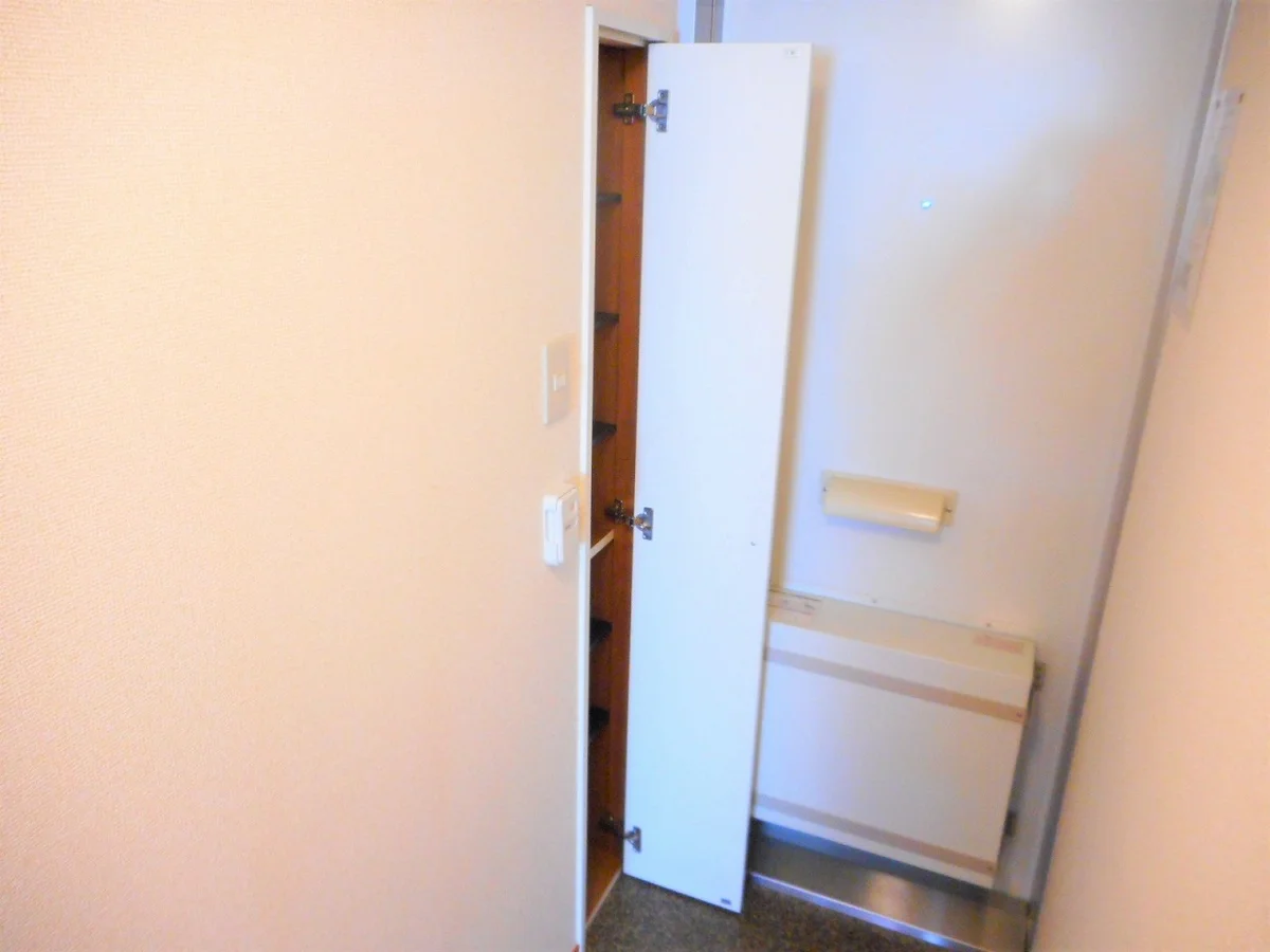 シューズボックスあり