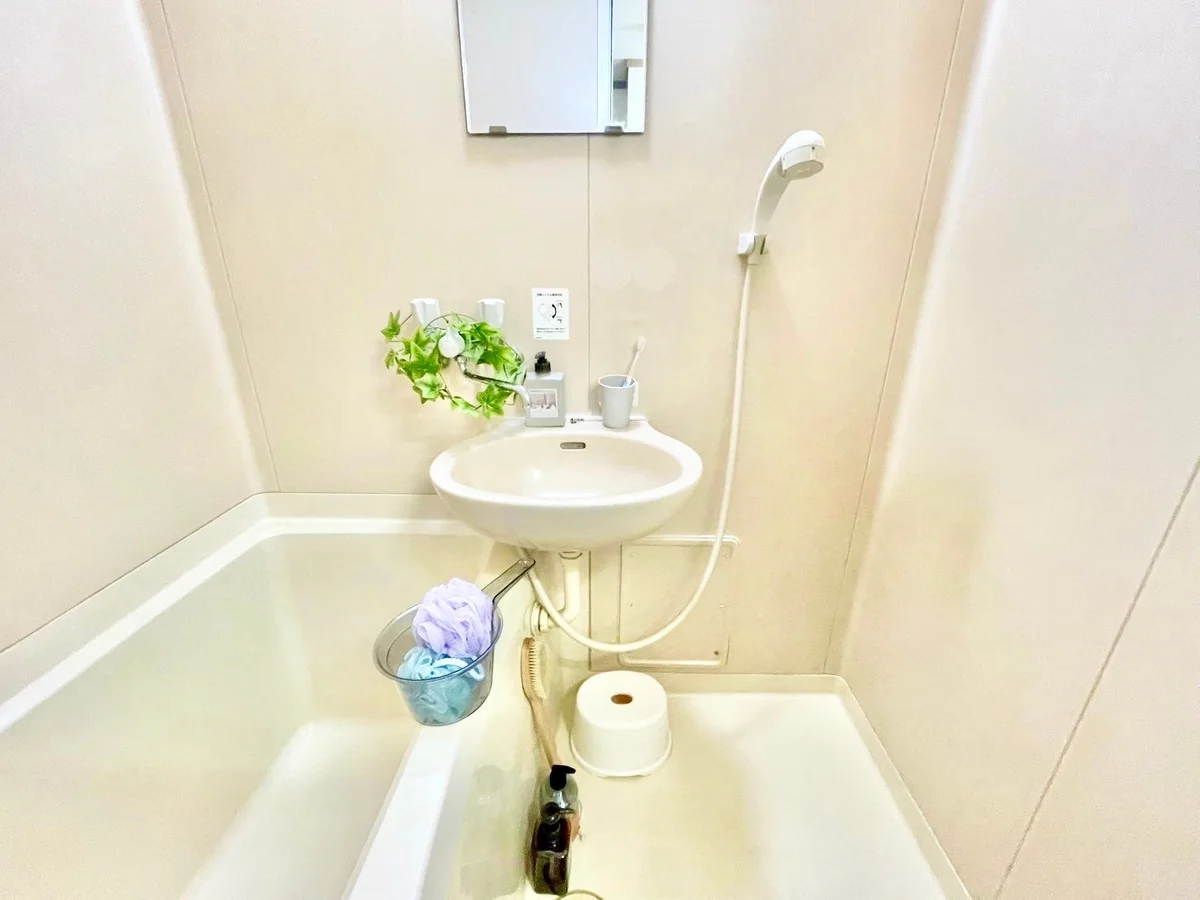 ※撮影用の観葉植物・食器調理器具・雑貨類等はございません。※図面・写真は現況優先。