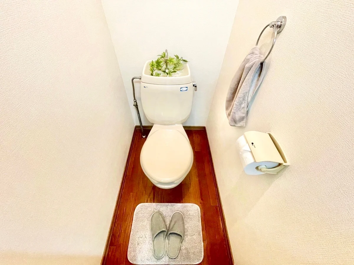 ※撮影用の観葉植物・食器調理器具・雑貨類等はございません。※図面・写真は現況優先。