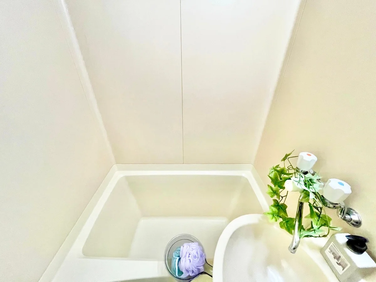 ※撮影用の観葉植物・食器調理器具・雑貨類等はございません。※図面・写真は現況優先。