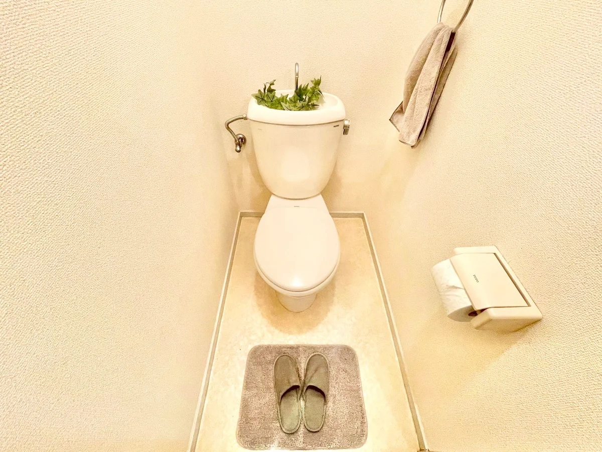 ※撮影用の観葉植物・食器調理器具・雑貨類等はございません。※図面・写真は現況優先。