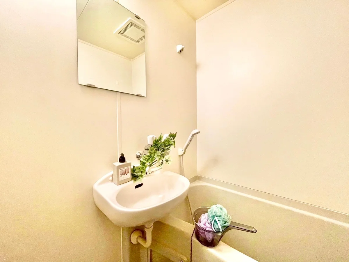 ※撮影用の観葉植物・食器調理器具・雑貨類等はございません。※図面・写真は現況優先。