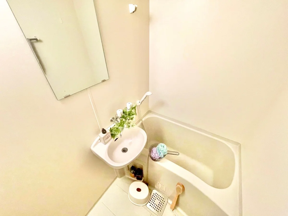 ※撮影用の観葉植物・食器調理器具・雑貨類等はございません。※図面・写真は現況優先。