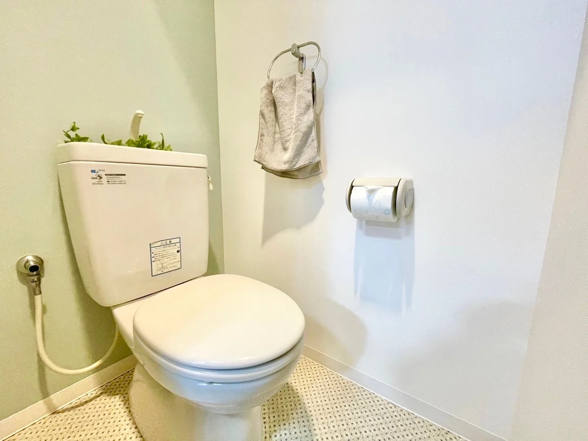 ※撮影用の観葉植物・食器調理器具・雑貨類等はございません。※図面・写真は現況優先。