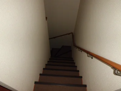 階段は、足の裏にやさしいカーペット張。