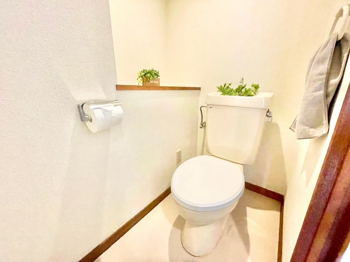 ※撮影用の観葉植物・食器調理器具・雑貨類等はございません。※図面・写真は現況優先。