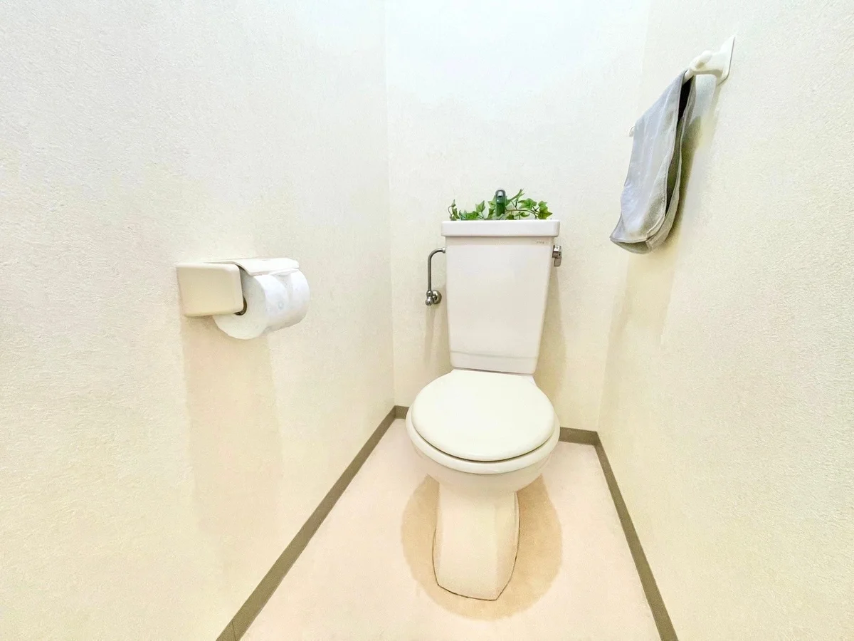 ※撮影用の観葉植物・食器調理器具・雑貨類等はございません。※図面・写真は現況優先。