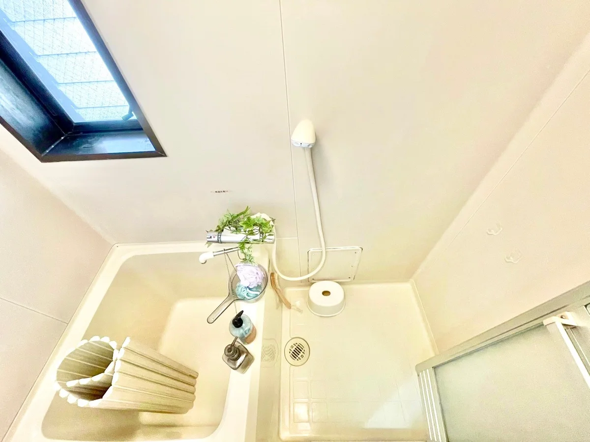 ※撮影用の観葉植物・食器調理器具・雑貨類等はございません。※図面・写真は現況優先。