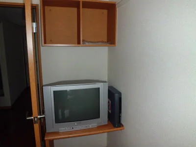 テレビとレオネット。