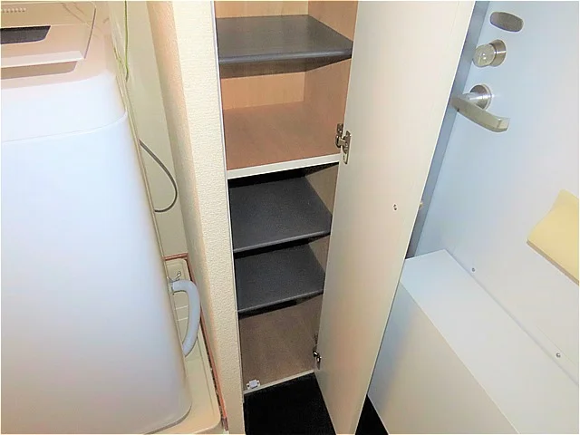 シューズボックスあり