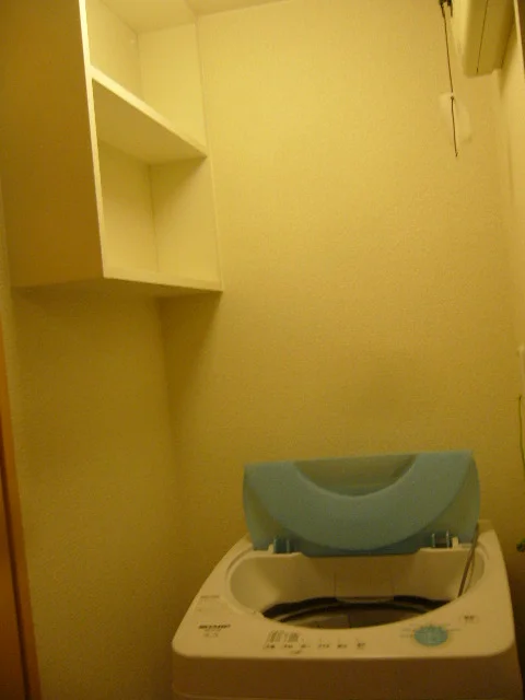 洗濯機置き場には収納スペースもあります