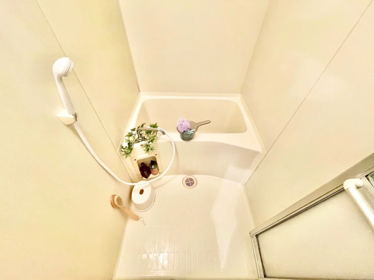 ※撮影用の観葉植物・食器調理器具・雑貨類等はございません。※図面・写真は現況優先。