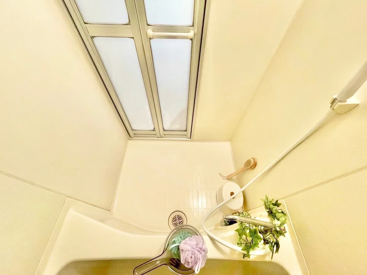 ※撮影用の観葉植物・食器調理器具・雑貨類等はございません。※図面・写真は現況優先。