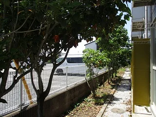 １階窓側です。