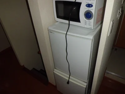 冷蔵庫と電子レンジ。