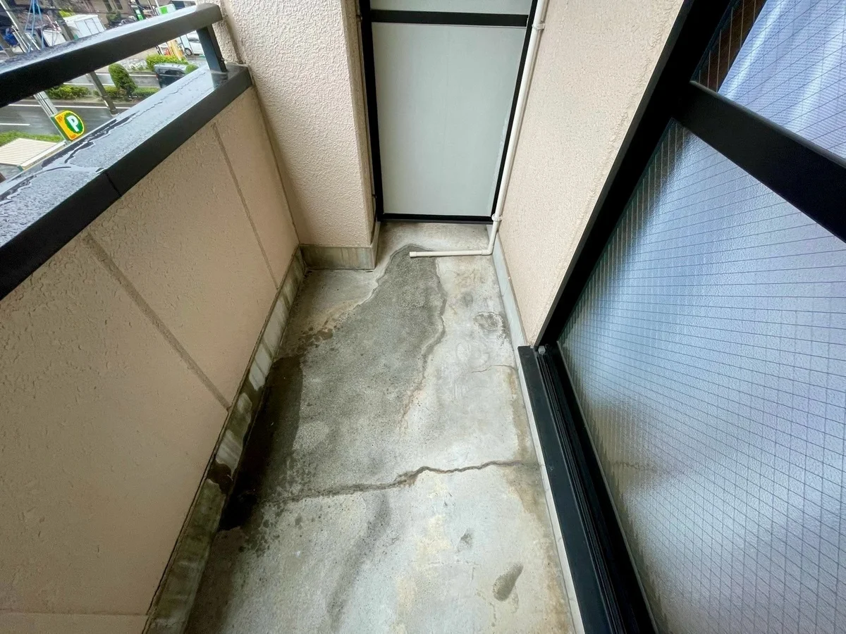 ※撮影用の観察植物・食器調理器具・雑貨類等はございません。※写真は現況優先