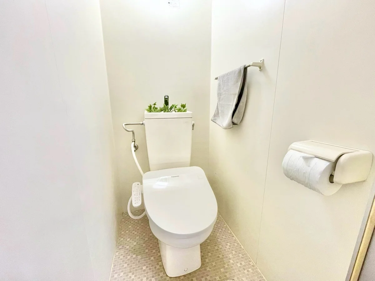 ※撮影用の観察植物・食器調理器具・雑貨類等はございません。※写真は現況優先