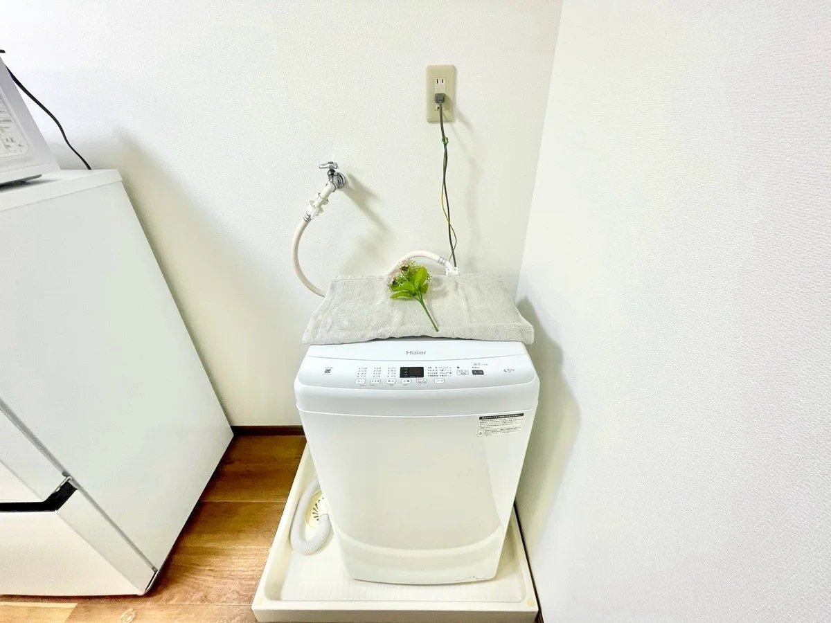 ※撮影用の観察植物・食器調理器具・雑貨類等はございません。※写真は現況優先