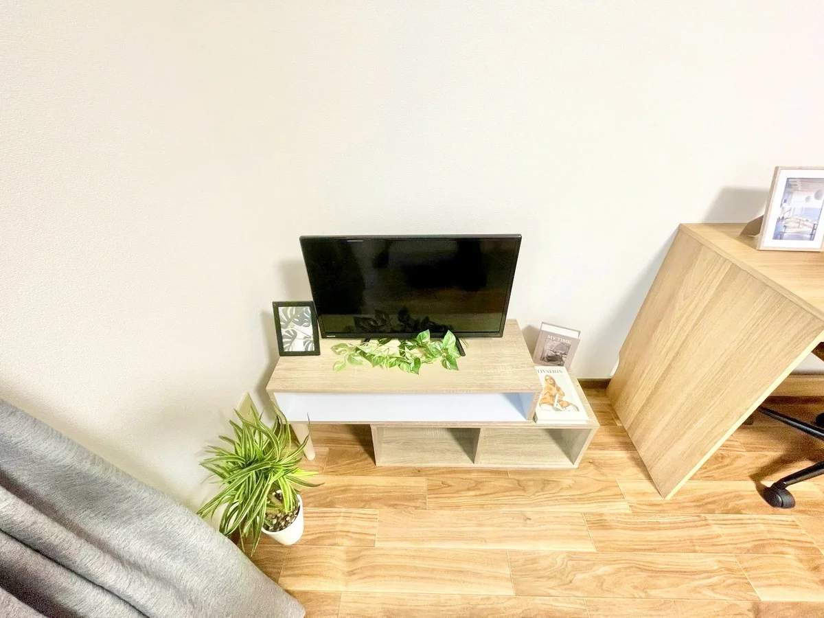 ※撮影用の観察植物・食器調理器具・雑貨類等はございません。※写真は現況優先