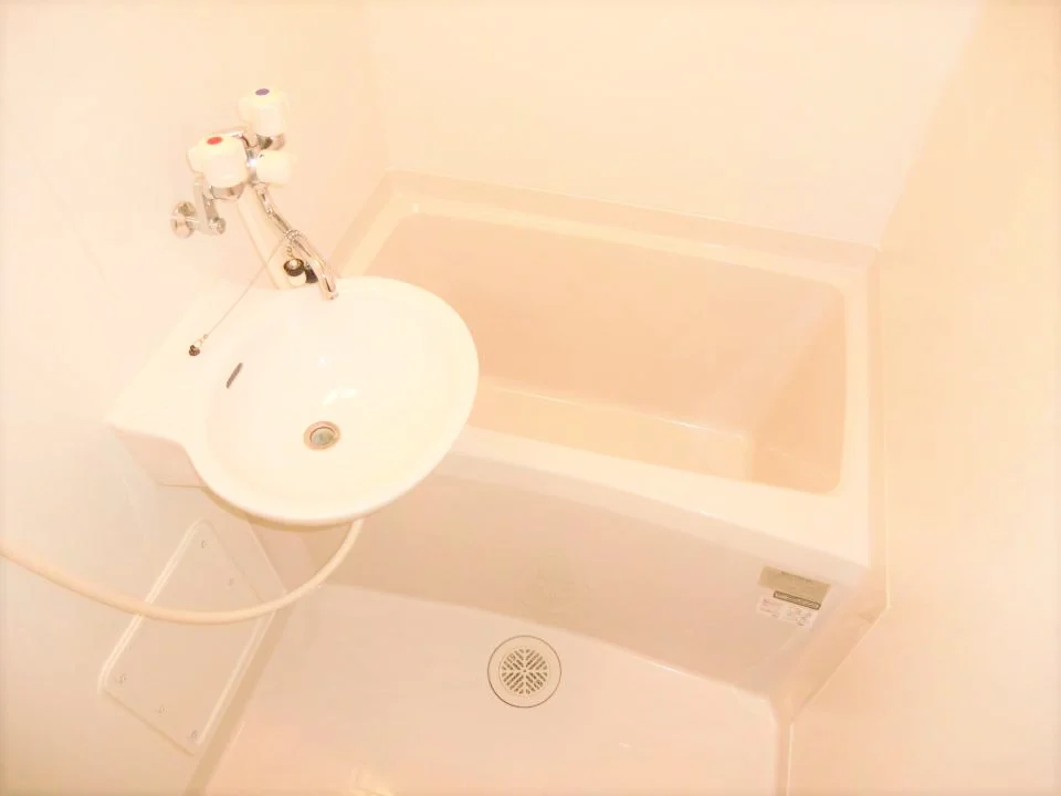 同タイプ物件の為、形状や間取寸法、色調等が実際とは異なります