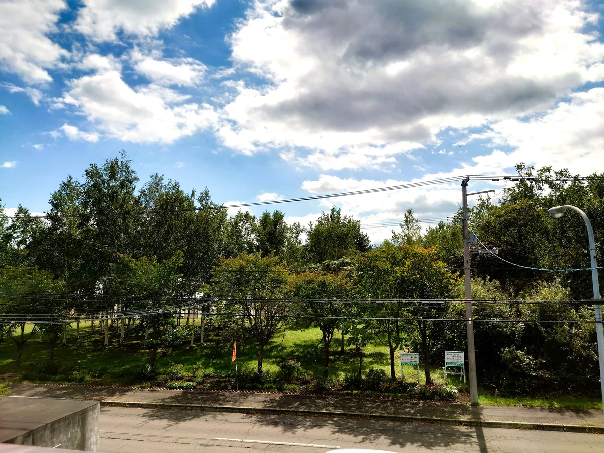 2階から見た風景