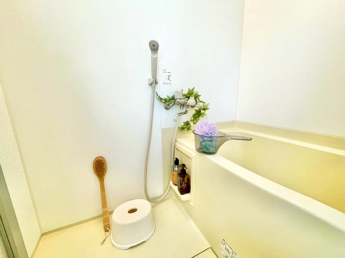 ※撮影用の観察植物・食器調理器具・雑貨類等はございません。※写真は現況優先