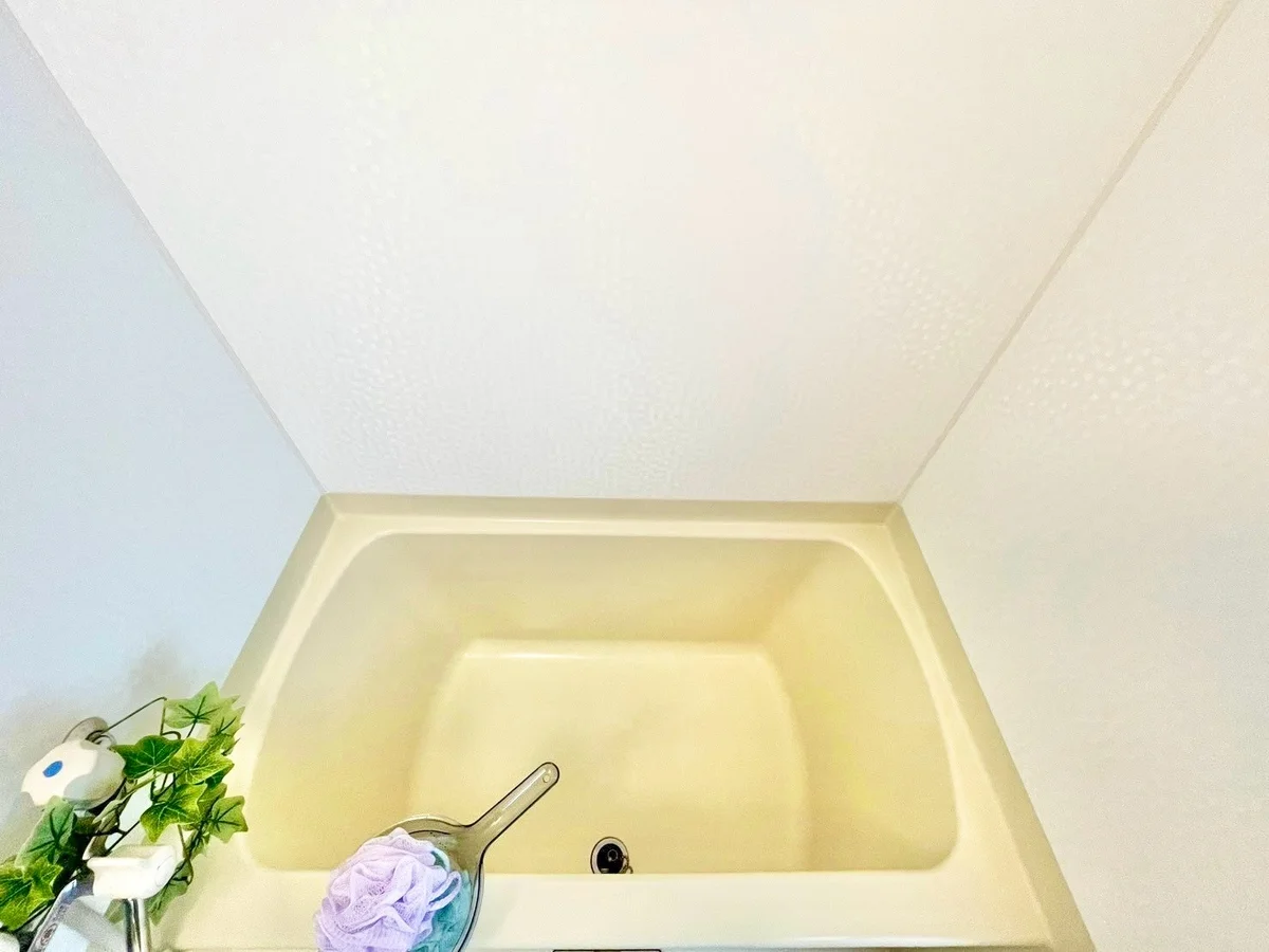 ※撮影用の観察植物・食器調理器具・雑貨類等はございません。※写真は現況優先