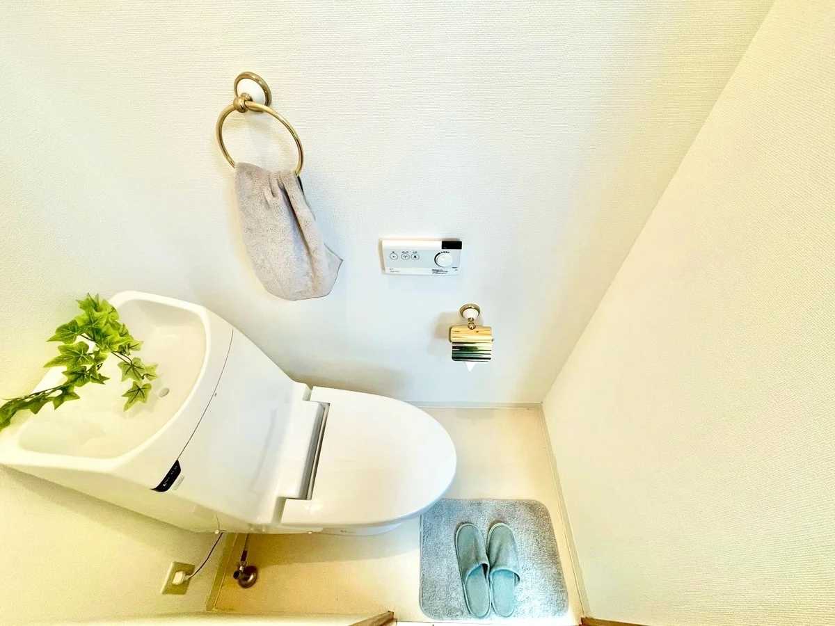 ※撮影用の観察植物・食器調理器具・雑貨類等はございません。※写真は現況優先