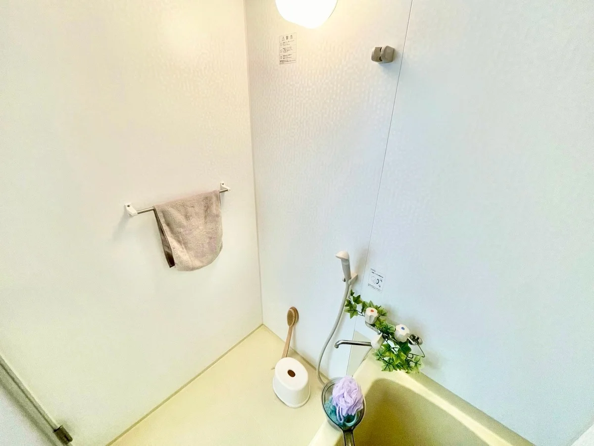 ※撮影用の観察植物・食器調理器具・雑貨類等はございません。※写真は現況優先