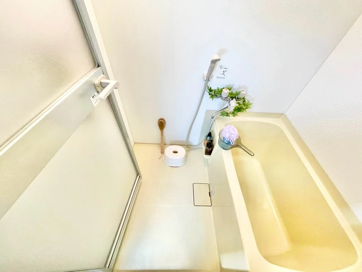 ※撮影用の観察植物・食器調理器具・雑貨類等はございません。※写真は現況優先