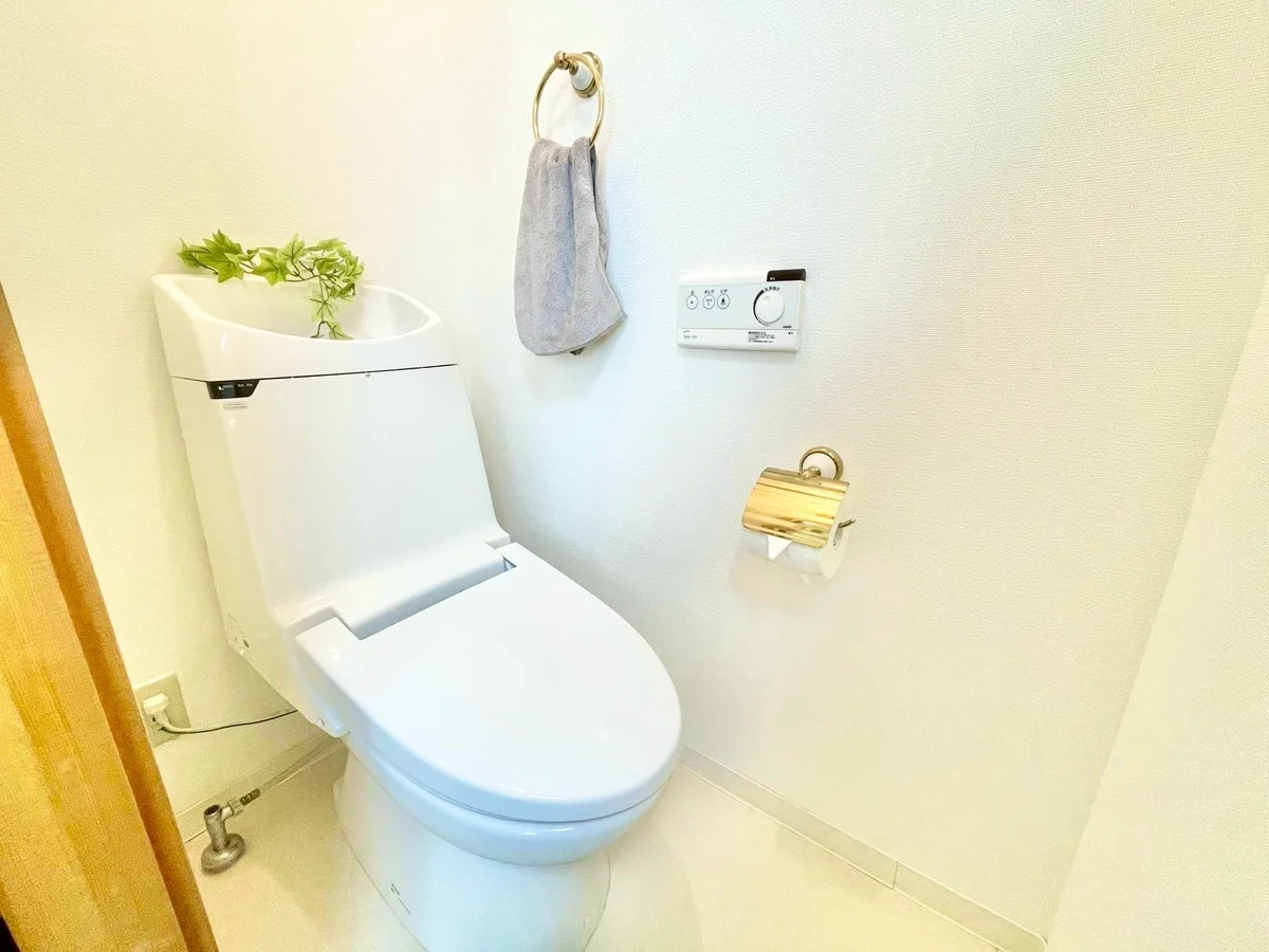 ※撮影用の観察植物・食器調理器具・雑貨類等はございません。※写真は現況優先